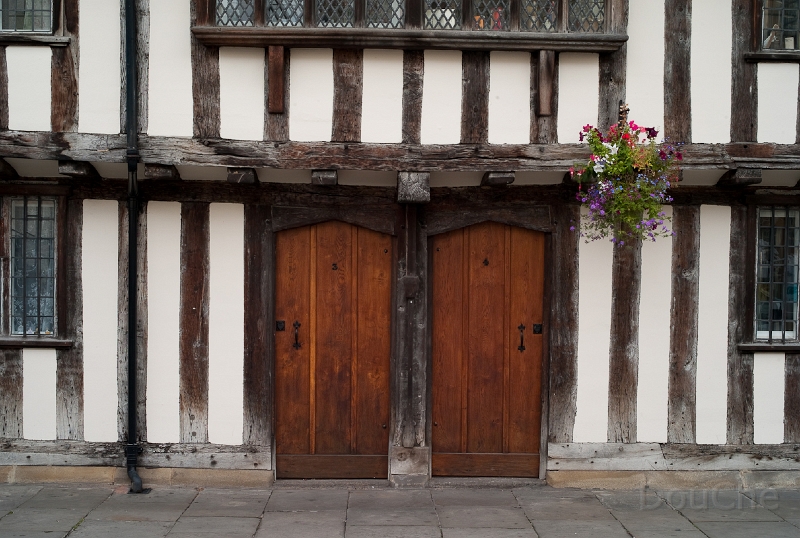 Ed -L1006925.jpg